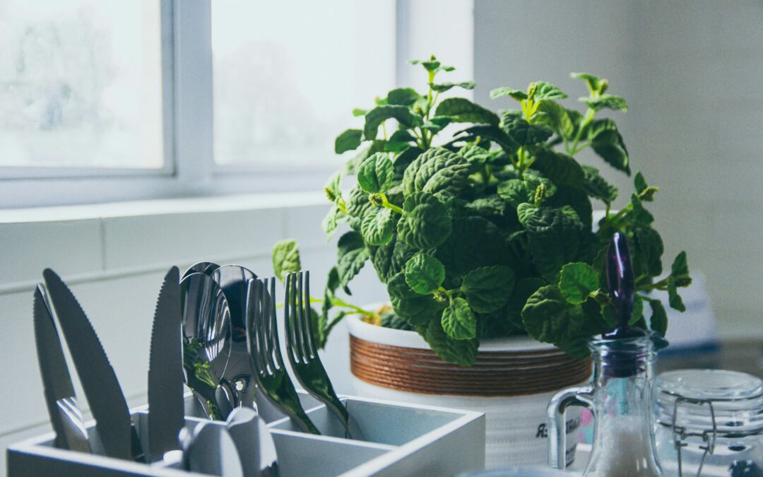 Kitchen welcoming crops to brighten up your spouse and children home